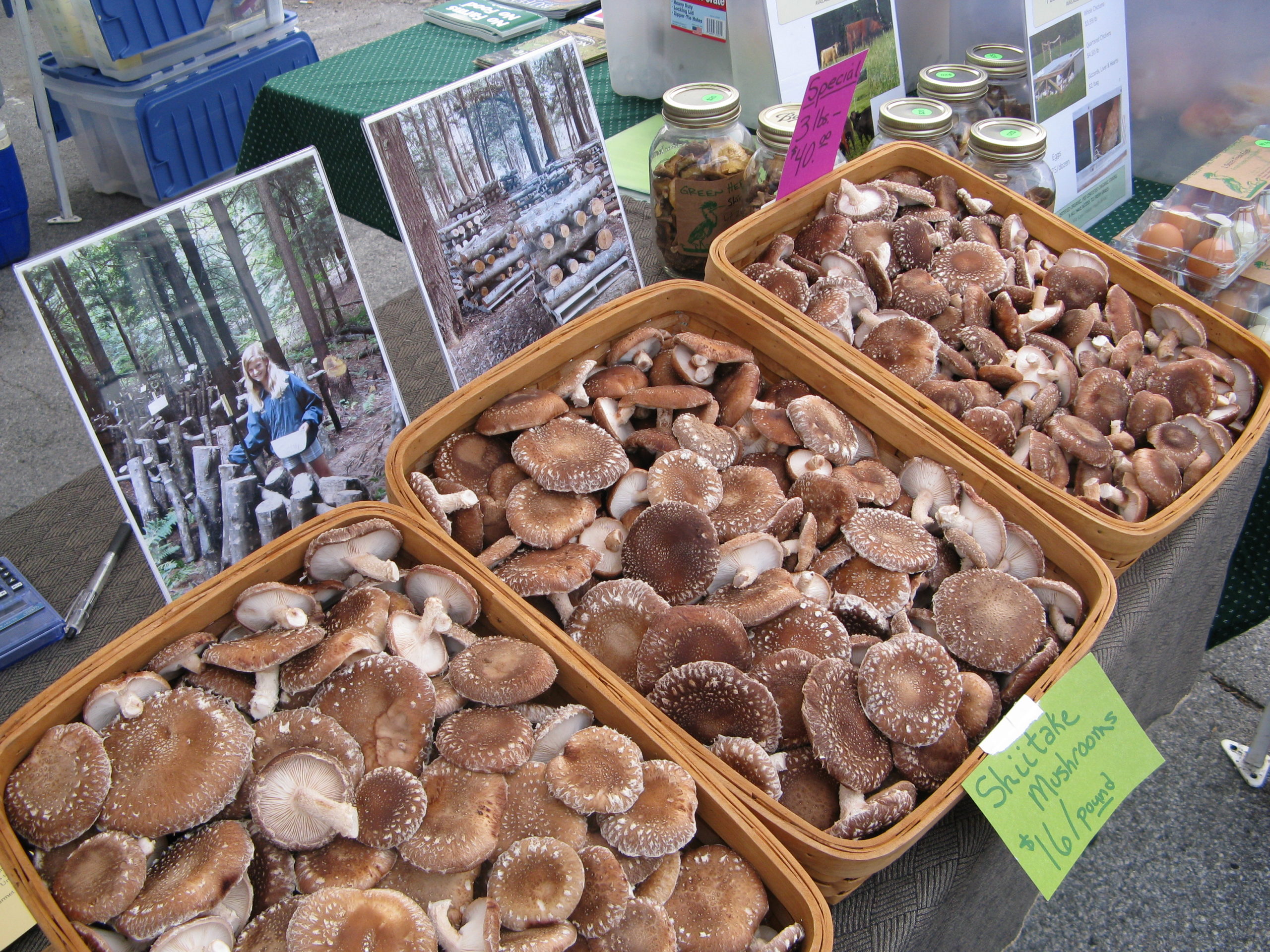 Bins of shiitake mushroom on display. There are photos of the shiitake logs and stacks behind the bins.