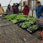 Participants gather in high tunnel to look at transplants at Grandpa Farm in Chester NY