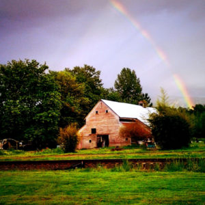 rainbow barn pexels