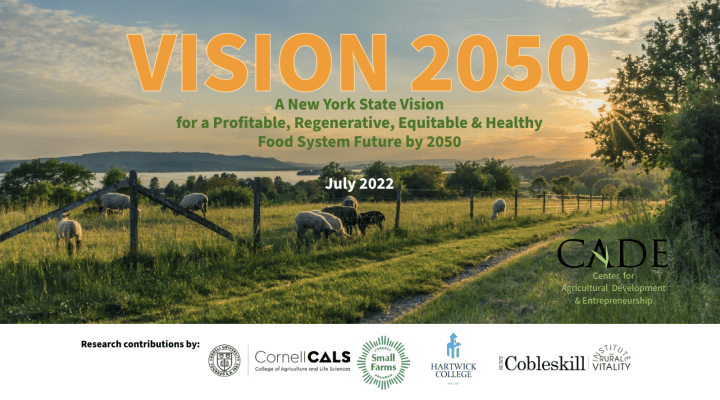 Vision 2050 Photo