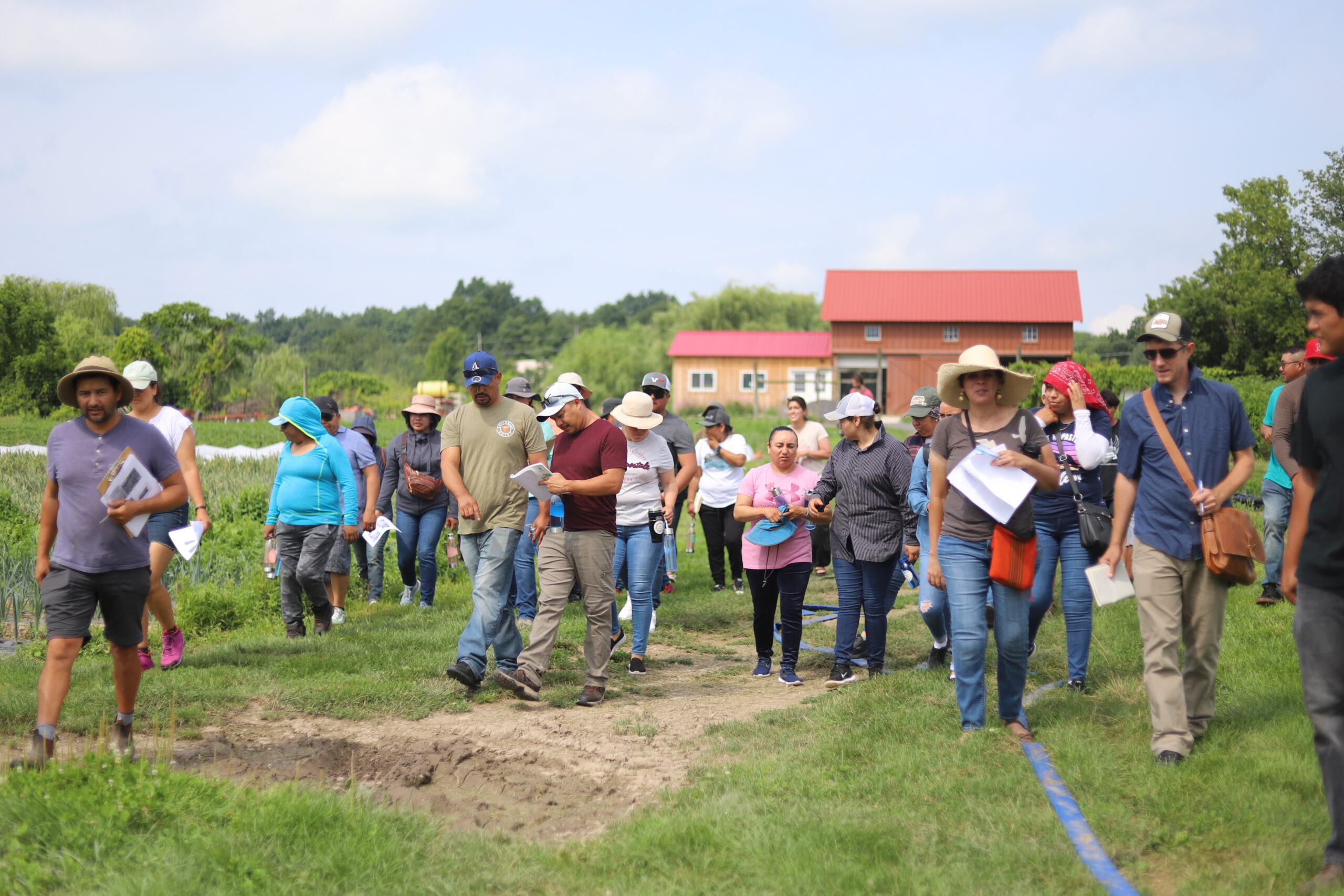 West Haven Farm hosted a group of Spanish-first farmers for a field day in Ithaca, NY.
Clara Tagliacozzo-Lee / Cornell Small Farms Program