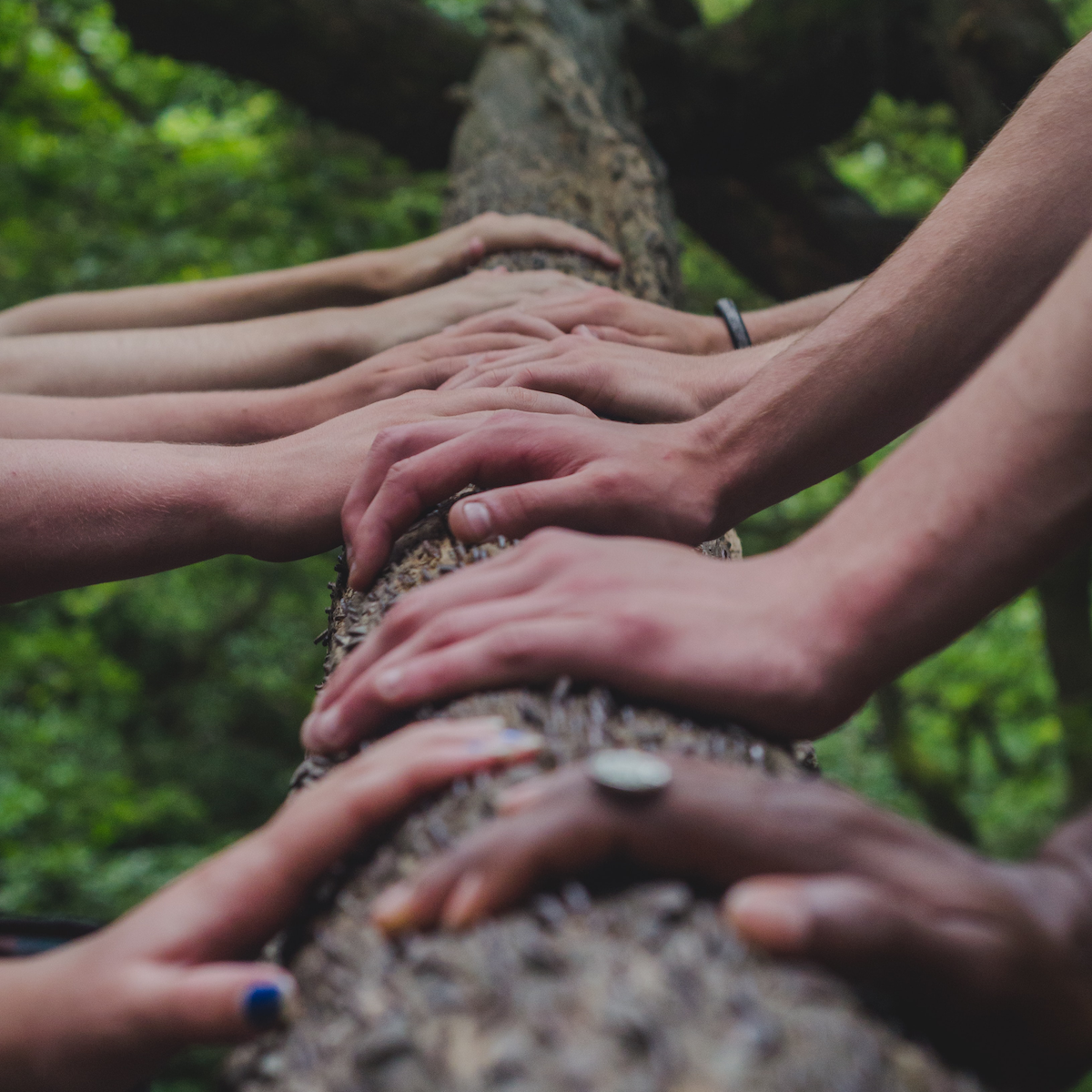 hands-tree-team-reconnecting-unsplash