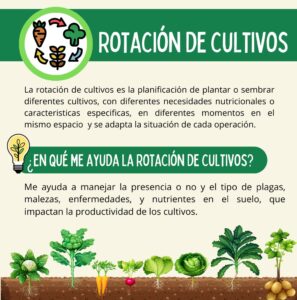 rotacion1