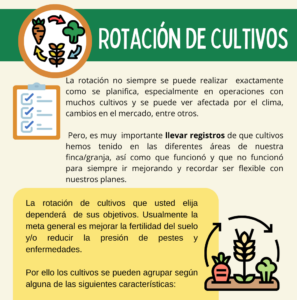 rotacion2