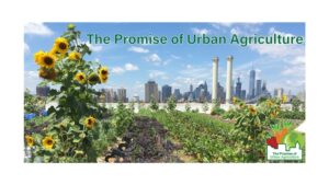 Promise of Urban Ag Web Banner courses