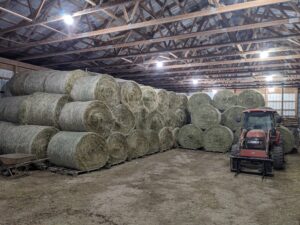 Hay Bales in Sheep Barn Photo 1