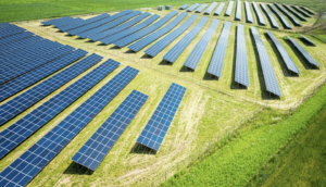 SFQ Agrivoltaics field