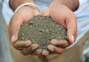 dissolved air flotation solids 