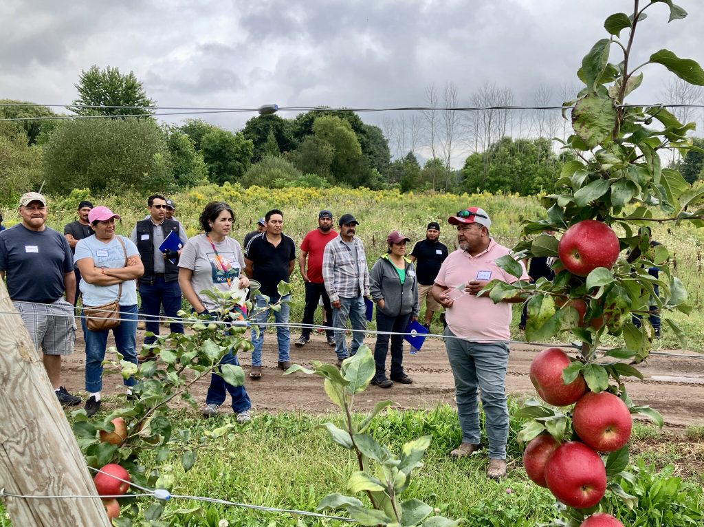 Un grupo de personas se encuentra de pie en un huerto, escuchando atentamente a una persona que habla. En primer plano, manzanas rojas maduras cuelgan de un árbol. Al fondo, se ve una vegetación exuberante y un cielo nublado.