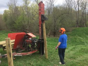 Wendy Taber Grazing Fence