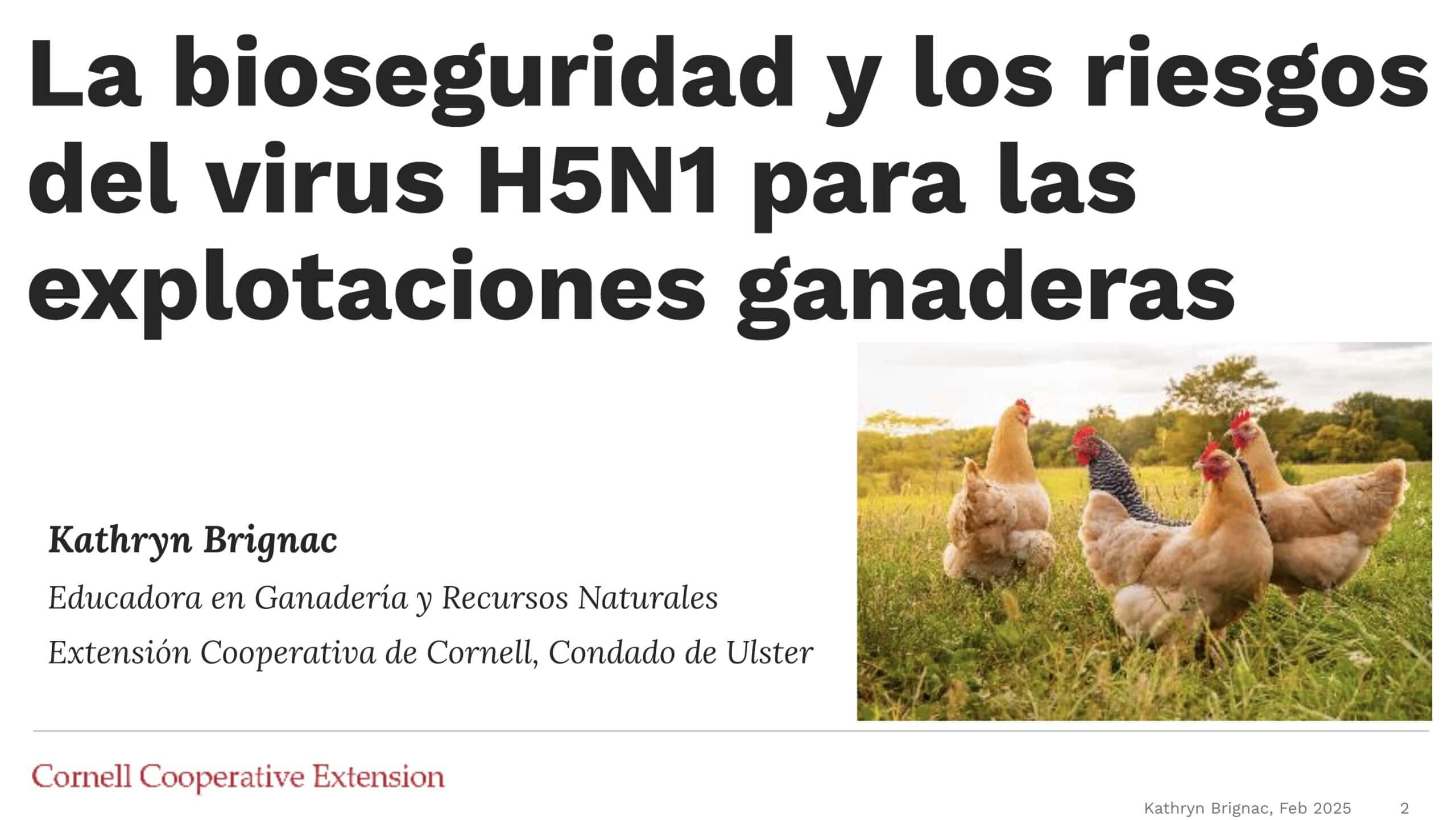 Cuatro gallinas deambulan por un campo de pasto bajo un cielo soleado. El texto en español explora la bioseguridad y los riesgos del virus H5N1 para la producción agropecuaria, atribuido a un educador de Cornell Cooperative Extension.