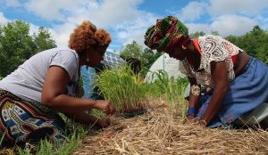Amidst lush greenery and a partly cloudy sky, two people kneel in vibrant attire and headwraps, tending to young plants embraced by straw mulch. These Black farmers bring climate resiliency into practice as they nurture their garden with care.