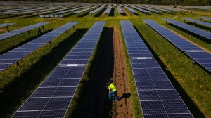 SFQ agrivoltaics field 1