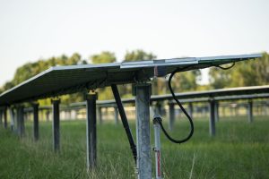 A close-up side view of solar panels mounted on metal frames in a grassy field highlights innovative farmland use, with trees in the background. Cables are visible hanging from the underside of these solar solutions.