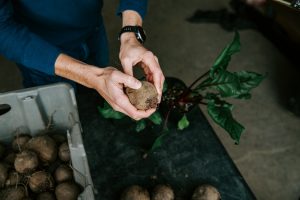 SFQ beets cals agritech