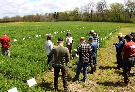 During a field day, a group of people stands in a green field, some taking notes as they observe cover crop plots marked with white signs. Trees and a partly cloudy sky create a peaceful backdrop.