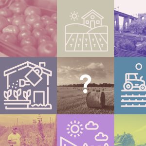 Who is a Farmer V2 copy scaled