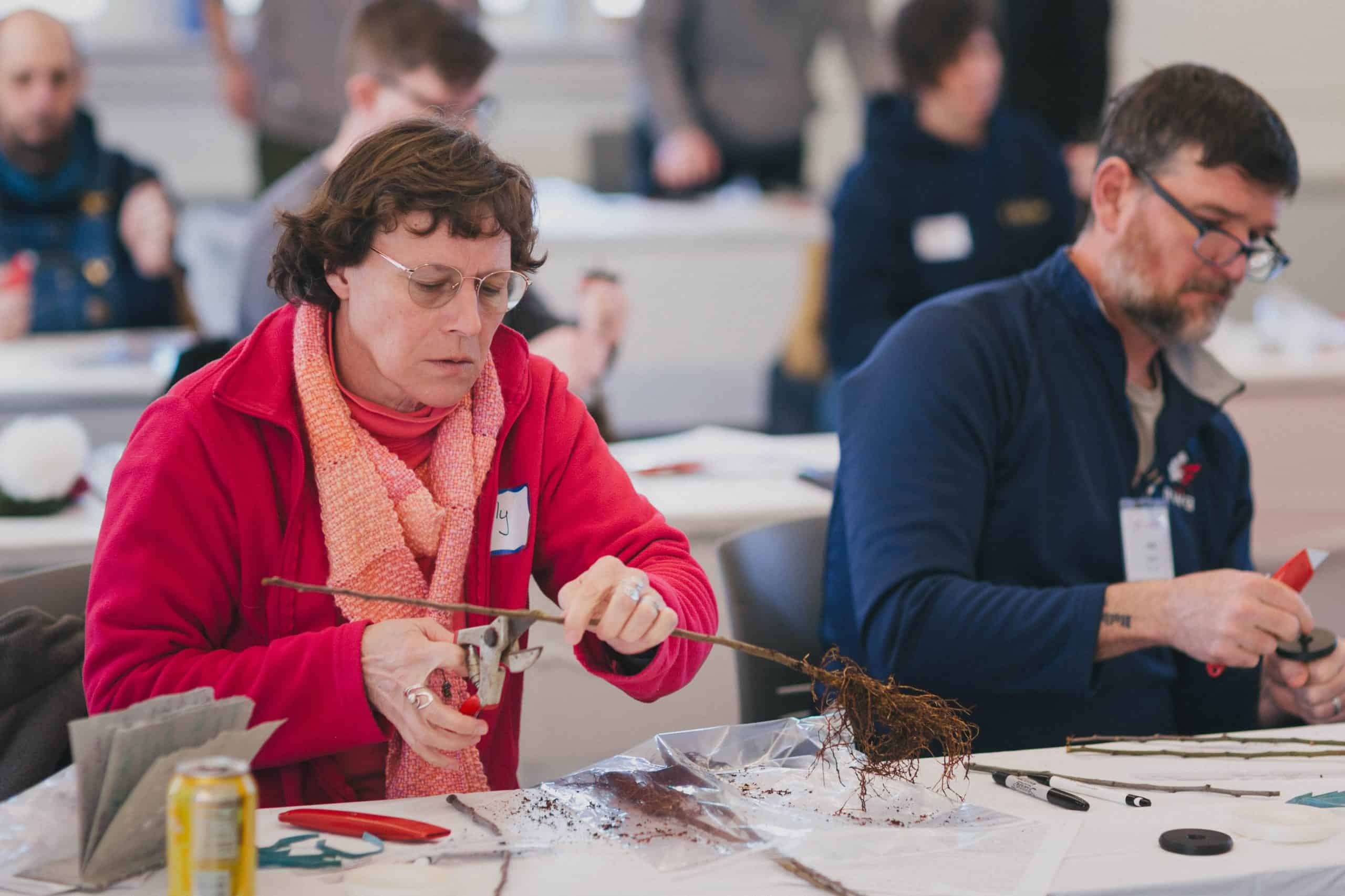 A woman and a man sit at a table working with plant cuttings, enjoying a hands-on grafting experience. The woman trims roots with pruning shears while the man labels a stick; others work in the blurred classroom background.