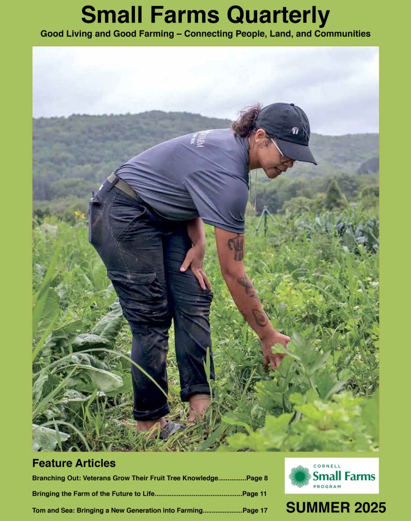 2025-Summer-SFQ-cover