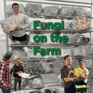 Fungi on the Farm