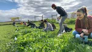 SFQ Matt Ryan class field