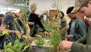 Ryan Class Cover Crop 