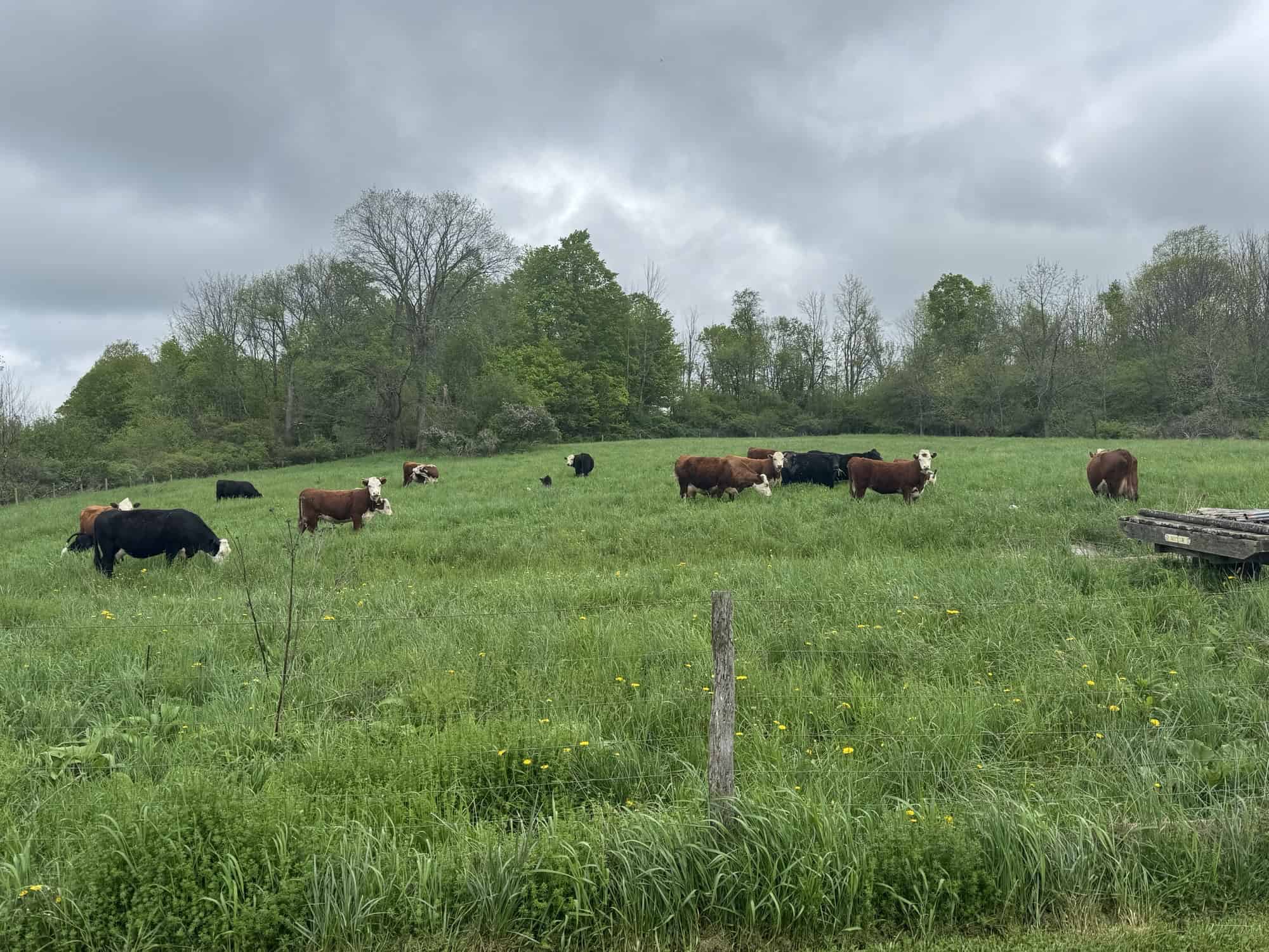 How Not to Graze