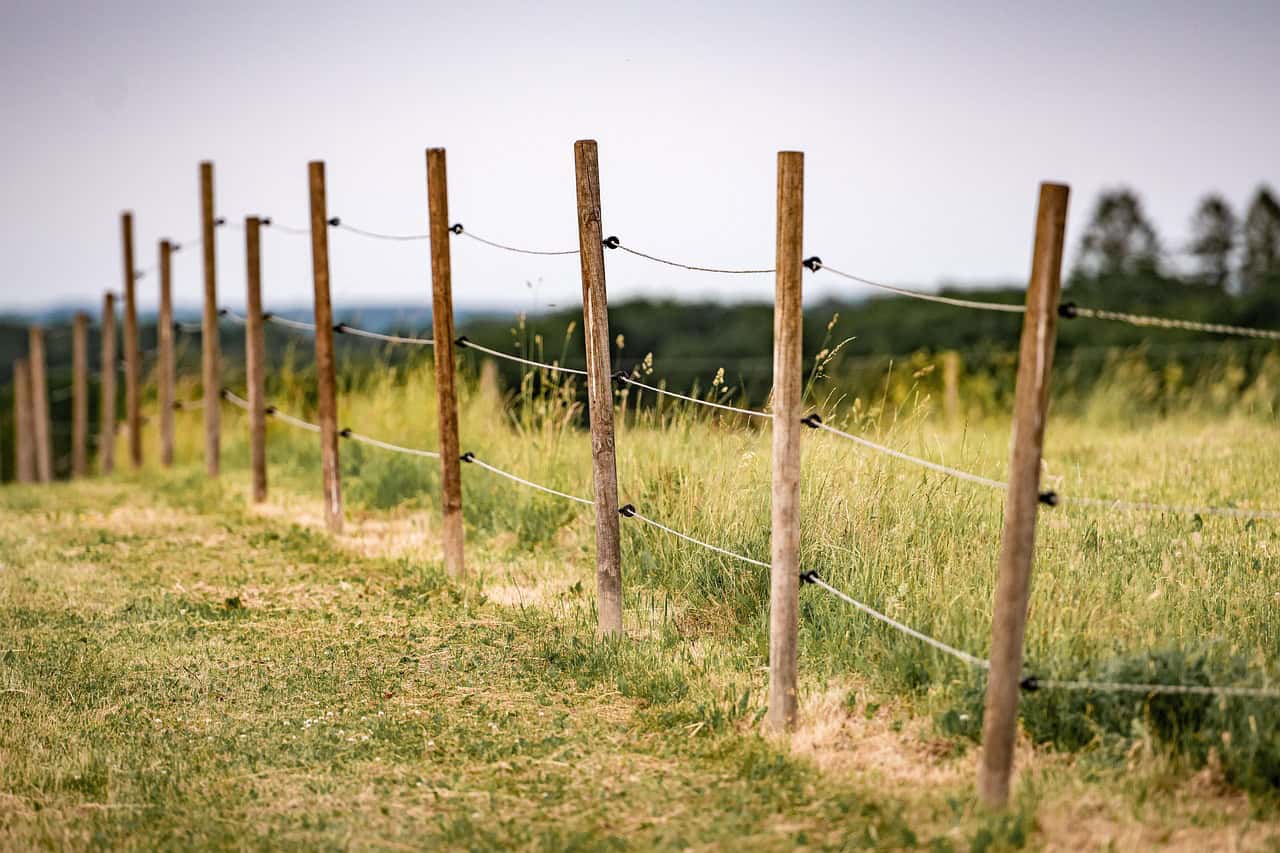 A slanted wooden fence with wire runs along a grassy field, with tall grass on one side and a blurred forested landscape in the background under a pale sky.