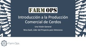 Introduccion Cerdos Saeli