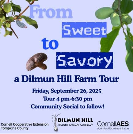 From Sweet to Savory - a Dilmun Hill Farm Tour 1 image