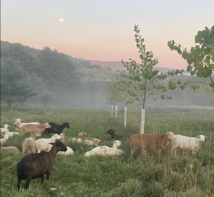 CleanShot 2025 10 03 at 10.43.35@2x