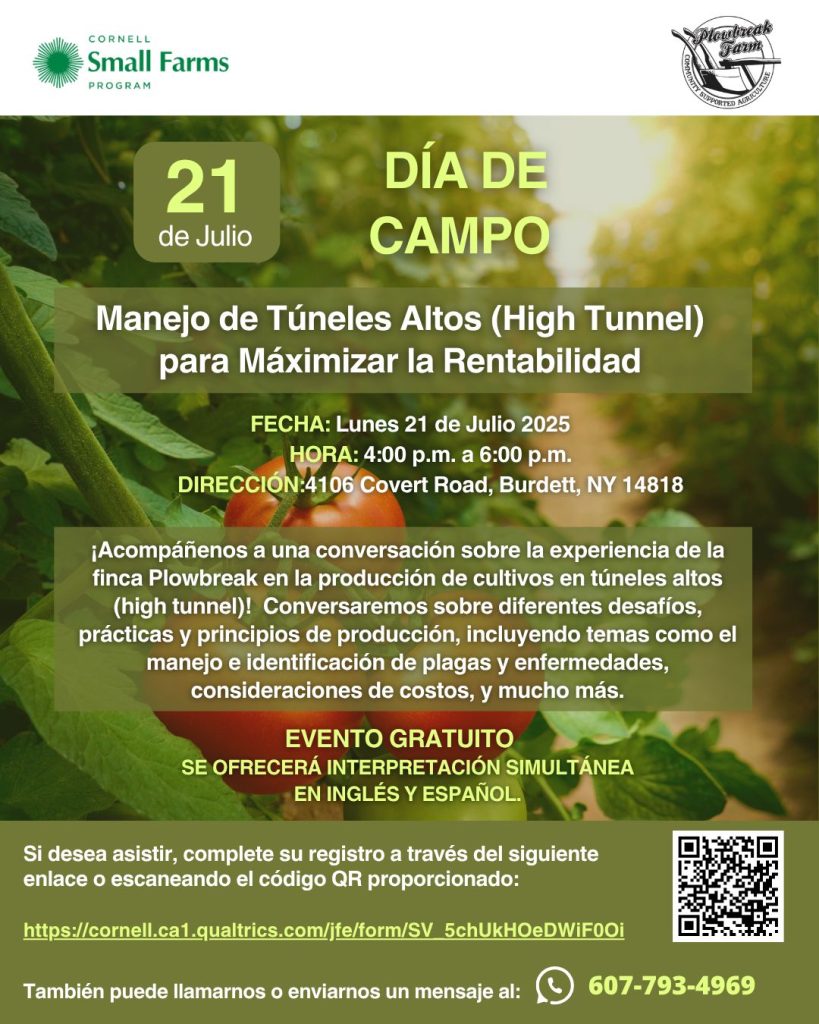 DiadecampoPlowbreak2025