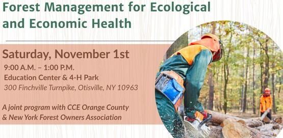 Forest Management for Ecological and Economic Health 1 Forest Management Banner