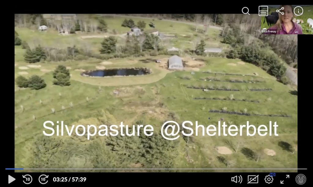 Getting Started with Trees in Pastures cover