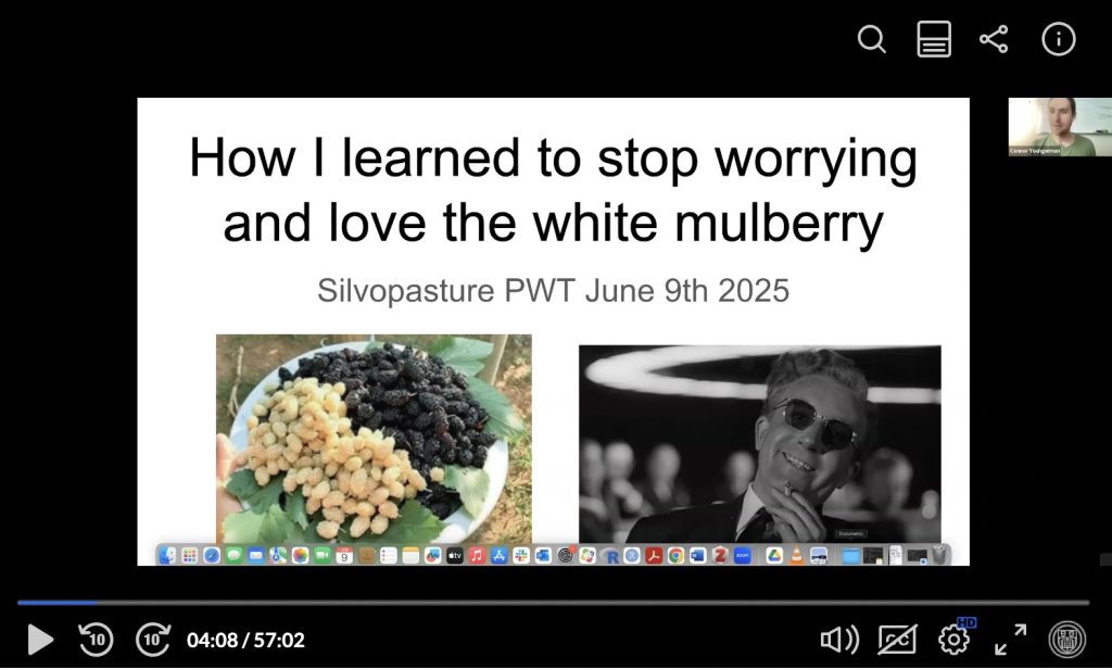 How I Learned to Stop Worrying and Love the White Mulberry cover