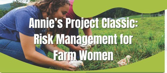 NY AP Classic Nov Dec 2025