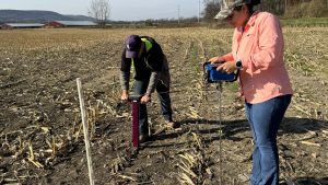 SFQ issa soil compaction 1