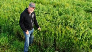 SFQ mark sorrells lakeeffect