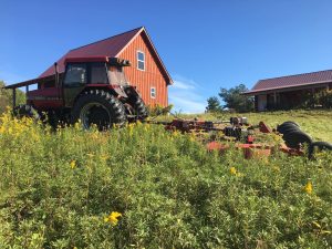 SFQ mowing pasture overgrown
