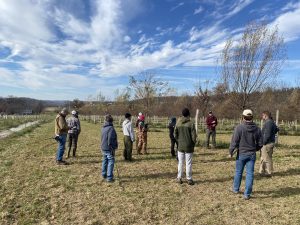 Silvopasture Benefits