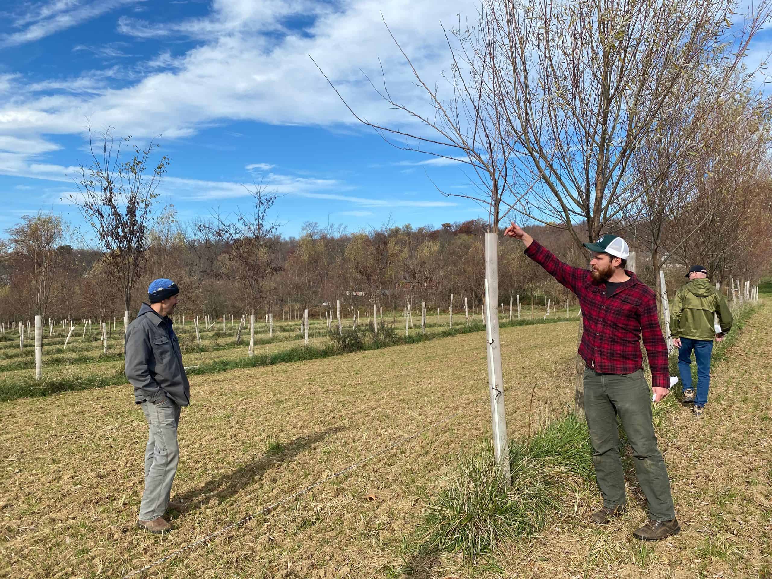 Silvopasture Presentations scaled