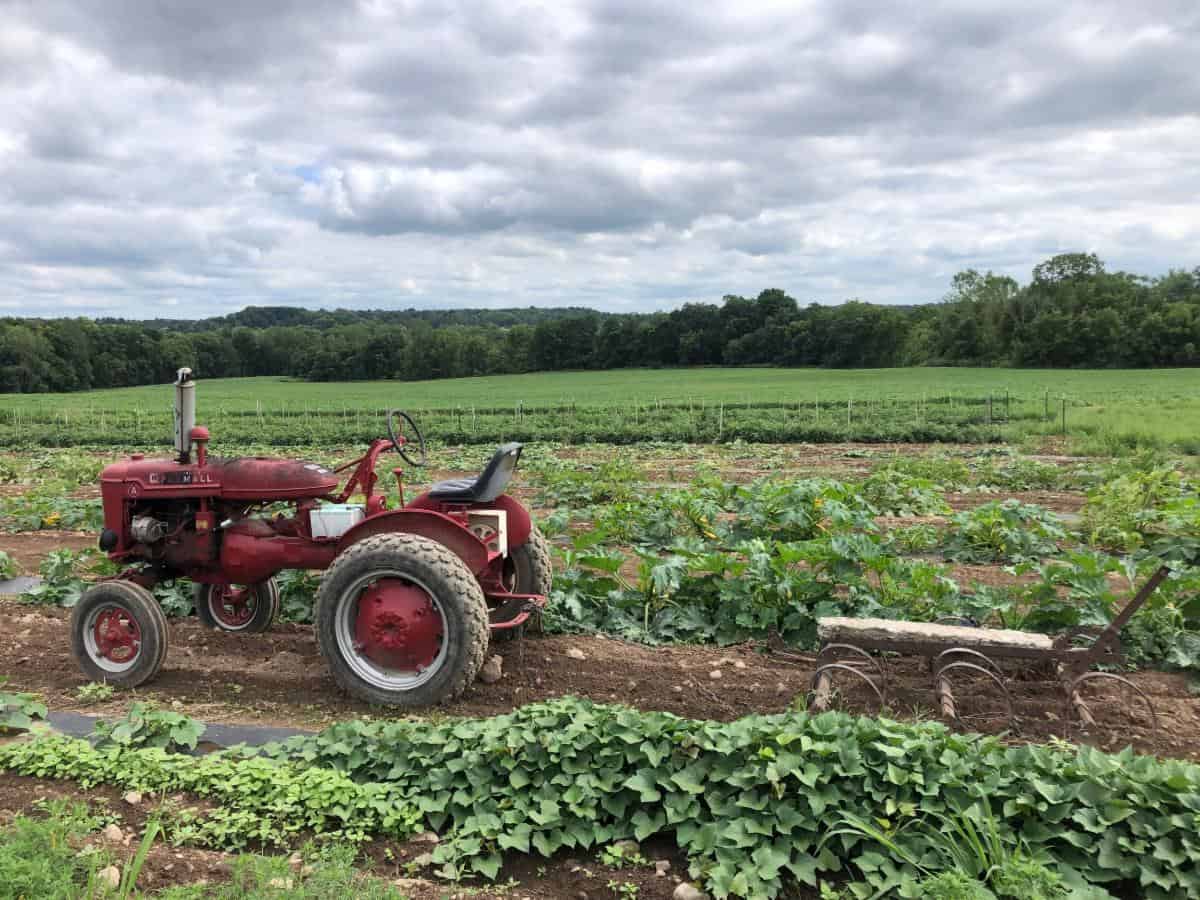 red tractor in a field