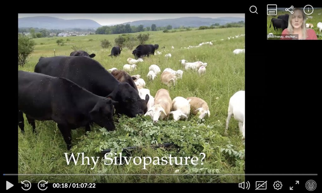 why silvopasture presentation