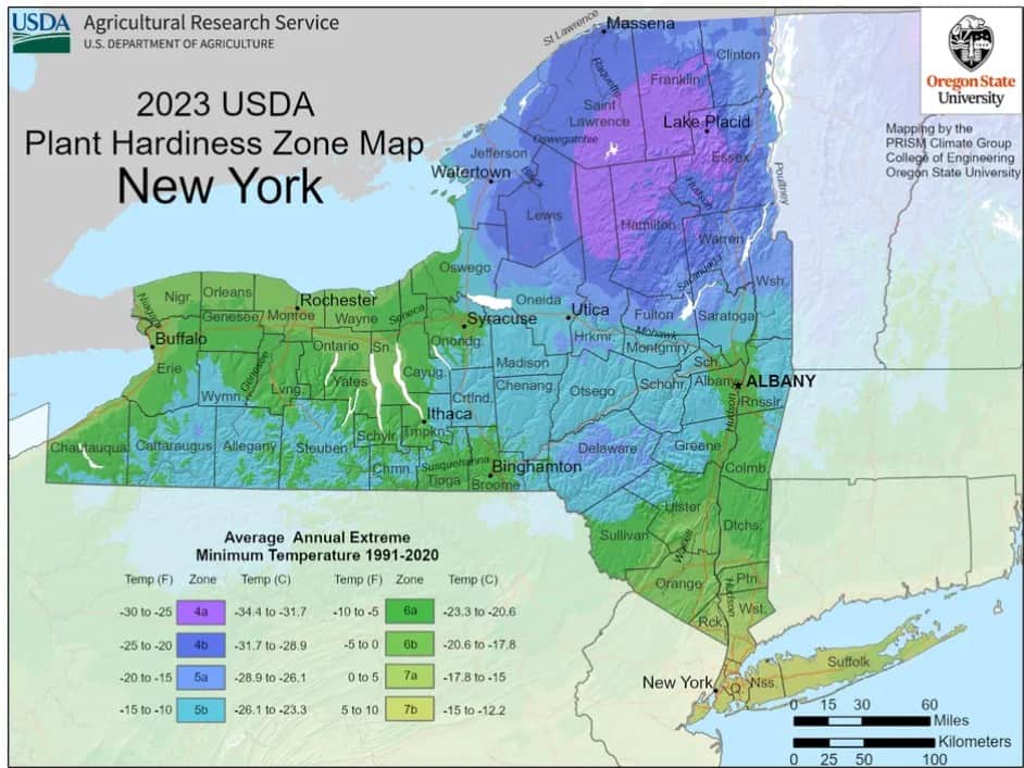 Climate Considerations 1 image 5 1