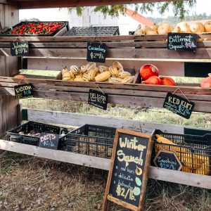 vegetable farm stand squash unsplash