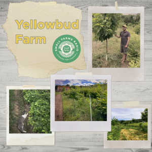 Yellowbud Farm Image