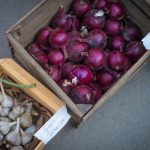 Cornell Cooperative Extension of Suffolk County