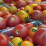 Farm Fresh Rhode Island