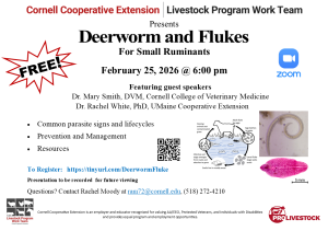 Deerworm and Fluke Presentation