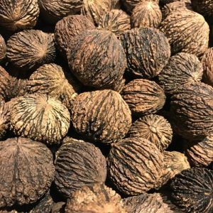 NY nut growers spring meeting